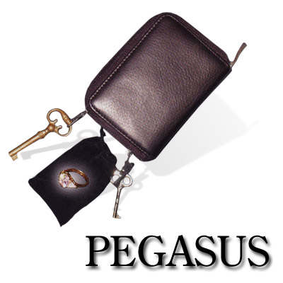 PEGASUS