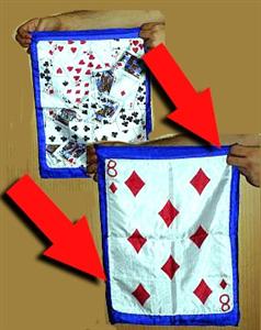 FLASH CARD PREDICTION SILK